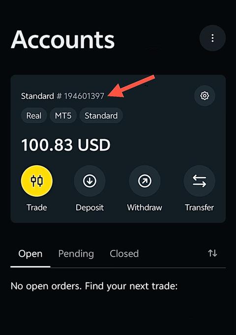 Send details screenshot